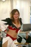Thumbs/tn_silverstars_djk-adler012.jpg