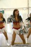 Thumbs/tn_silverstars_djk-adler013.jpg