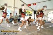 Thumbs/tn_silverstars_djk-adler018.jpg