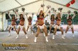 Thumbs/tn_silverstars_djk-adler025.jpg
