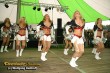 Thumbs/tn_silverstarsob_wk_166.jpg