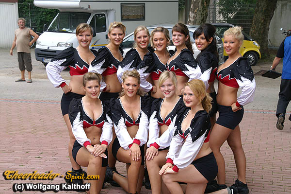 ../Images/silverstars_drachenboot001.jpg