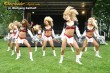 Thumbs/tn_silverstars_drachenboot034.jpg