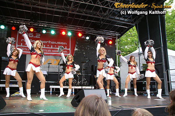 ../Images/silverstars_wk_100.jpg
