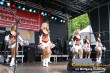 Thumbs/tn_silverstars_wk_197.jpg