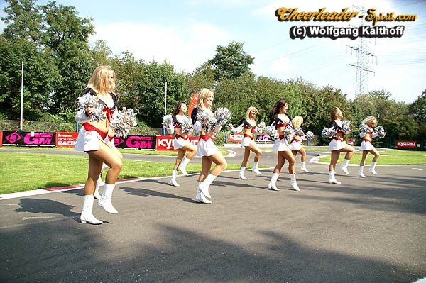 ../Images/silverstars_wk_100.jpg