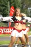 Thumbs/tn_silverstars_wk_133.jpg