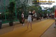 Thumbs/tn_IMG_2890.jpg