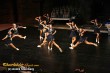 Thumbs/tn_586_8608.jpg