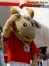 Thumbs/tn_07.jpg