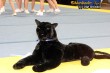 Thumbs/tn_IMG_3043.jpg