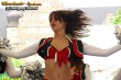 Thumbs/tn_silverstars_wk32.jpg