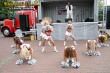 Thumbs/tn_IMG_6928.jpg