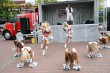 Thumbs/tn_IMG_6933.jpg