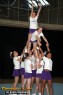 Thumbs/tn_IMG_2633.jpg