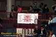 Thumbs/tn_IMG_2689.jpg