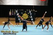 Thumbs/tn_IMG_2737.jpg