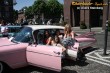 Thumbs/tn_IMG_5154.jpg