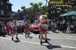 Thumbs/tn_IMG_5319.jpg