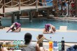 Thumbs/tn_IMG_5843.jpg