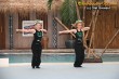 Thumbs/tn_IMG_5851.jpg