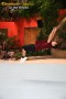 Thumbs/tn_IMG_5920.jpg