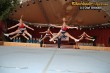 Thumbs/tn_IMG_5970.jpg