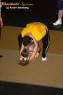Thumbs/tn_IMG_7078.jpg