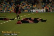 Thumbs/tn_IMG_8879.jpg
