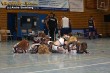 Thumbs/tn_IMG_1691.jpg