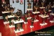 Thumbs/tn_IMG_7660.jpg