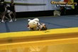 Thumbs/tn_IMG_3018.jpg