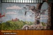 Thumbs/tn_IMG_7071.jpg