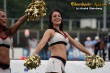 Thumbs/tn_IMG_1567.jpg