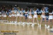 Thumbs/tn_IMG_2729.jpg