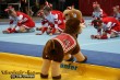 Thumbs/tn_IMG_0278.jpg