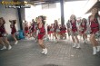 Thumbs/tn_koppen050.jpg