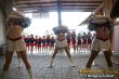 Thumbs/tn_koppen157.jpg