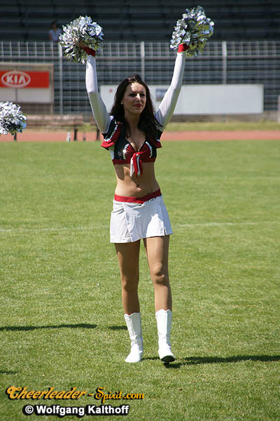 ../Images/silverstars_007.JPG