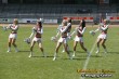 Thumbs/tn_silverstars_087.jpg