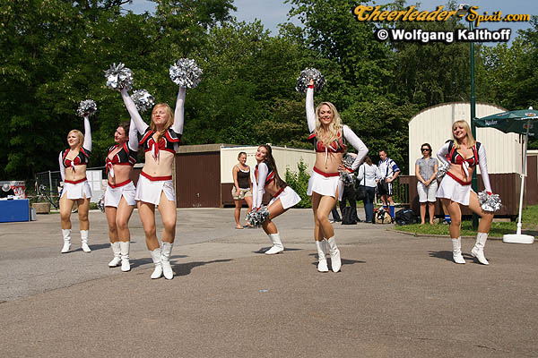 ../Images/silver_stars208.JPG