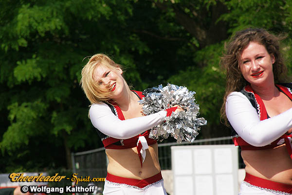 ../Images/silver_stars216.JPG