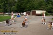Thumbs/tn_silver_stars018.jpg