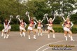 Thumbs/tn_silver_stars_227.jpg