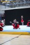 Thumbs/tn_IMG_2428.jpg