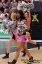 Thumbs/tn_IMG_9813.jpg
