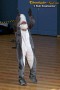 Thumbs/tn_6518.jpg