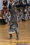 Thumbs/tn_6529.jpg