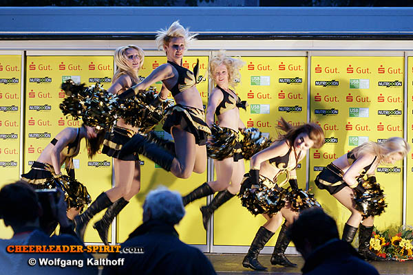 ../Images/goldfire_wk_311.JPG