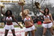 Thumbs/tn_IMG_7231.jpg